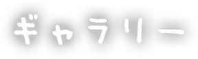 ギャラリー